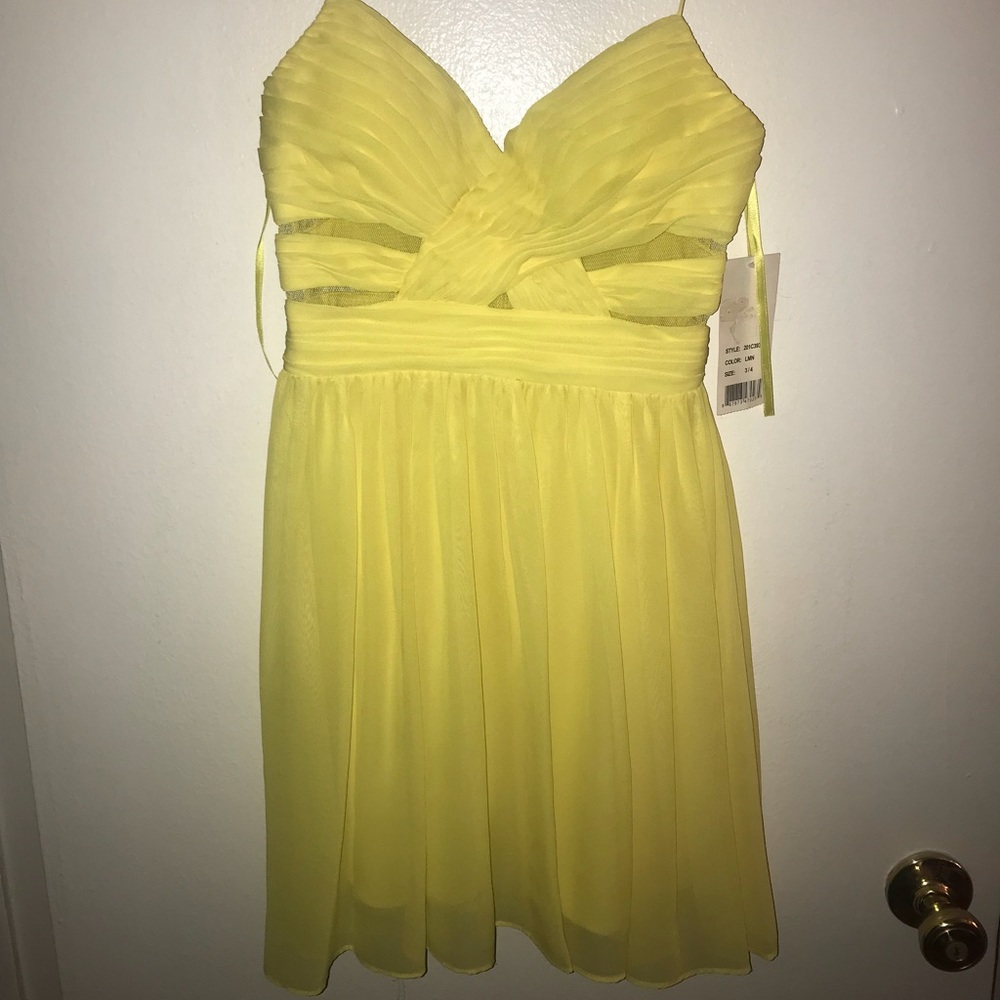 Adriana Papell dress